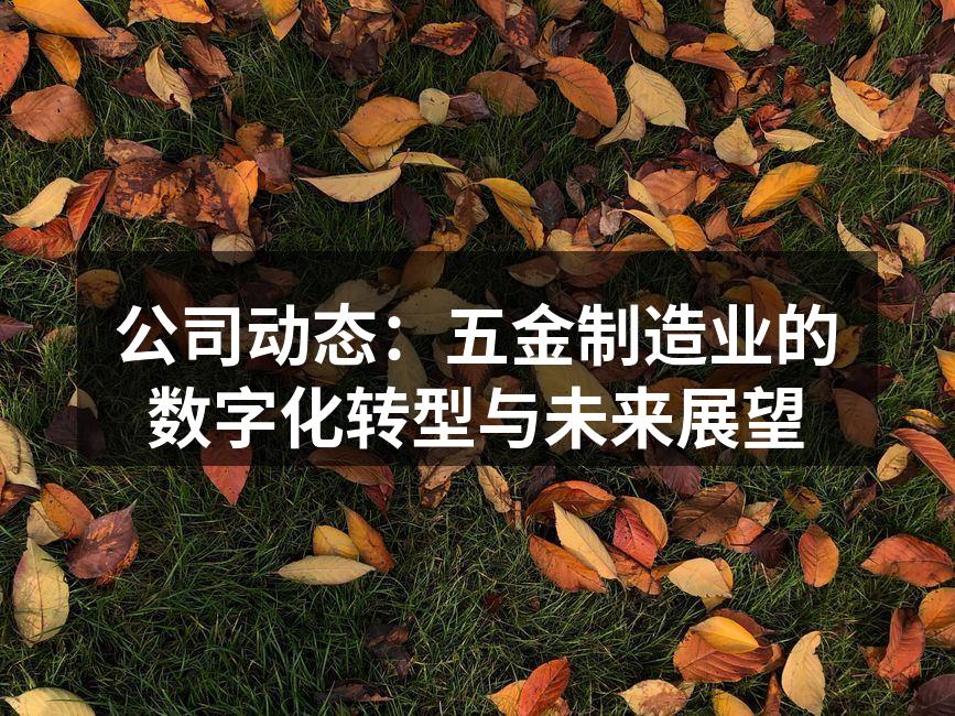 公司动态：五金制造业的数字化转型与未来展望